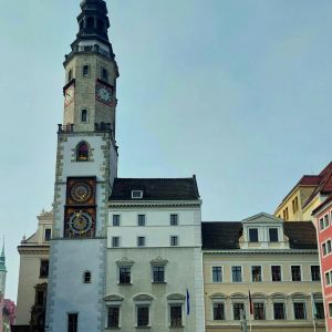 Profilbild Insider Monique Glitzky (20)